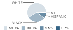 Erwin Elementary School Student Race Distribution