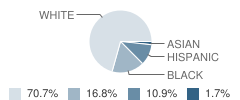 Hendersonville High School Student Race Distribution