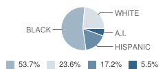 J W Mclauchlin Elementary School Student Race Distribution