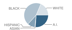 West Hoke Middle School Student Race Distribution