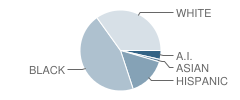 East Hoke Middle School Student Race Distribution