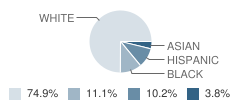 Cool Spring Elementary School Student Race Distribution