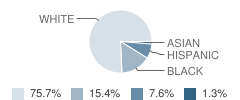 Northview Elementary School Student Race Distribution