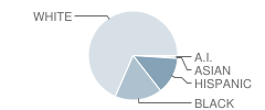 South Johnston High School Student Race Distribution