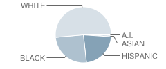 Lee County High School Student Race Distribution