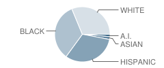 Benjamin T Bullock Elementary School Student Race Distribution