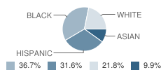 Pickett Primary School Student Race Distribution