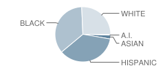 South Lexington / Develop Wing School Student Race Distribution