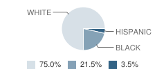 Jamesville High School Student Race Distribution