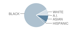 Barringer Academic Center School Student Race Distribution