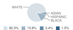 Eastover Elementary School Student Race Distribution