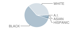 Elizabeth Trad / Classical School Student Race Distribution