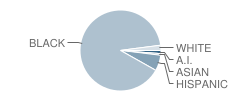 Irwin Avenue Open School Student Race Distribution