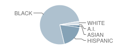 Lincoln Heights Elementary School Student Race Distribution