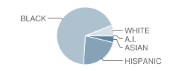 Northridge Middle School Student Race Distribution