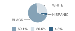 Morgan School Student Race Distribution