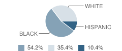 Anchor School Student Race Distribution