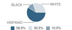 Robbins Elementary School Student Race Distribution