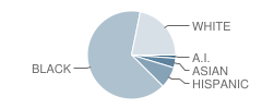 M B Hubbard Elementary School Student Race Distribution