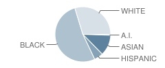 Trent Park Elementary School Student Race Distribution