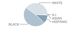 James W Smith Elementary School Student Race Distribution