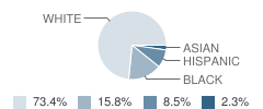 John J Blair Elementary School Student Race Distribution