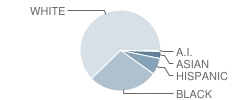 Roland-Grise Middle School Student Race Distribution