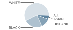 Newton-Conover High School Student Race Distribution