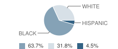 Willis Hare Elementary School Student Race Distribution