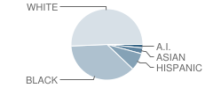 Blue Creek Elementary School Student Race Distribution