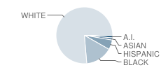 Swansboro Middle School Student Race Distribution