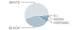 Hunters Creek Middle School Student Race Distribution