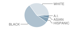 Northside High School Student Race Distribution