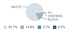 Hillsborough Elementary School Student Race Distribution