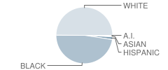 Pasquotank County High School Student Race Distribution