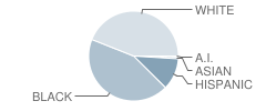 Malpass Corner Elementary School Student Race Distribution