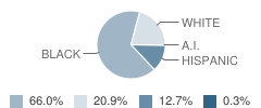 North Elementary School Student Race Distribution