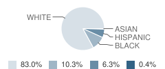 Polk County High School Student Race Distribution