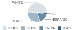 Rohanen Primary School Student Race Distribution