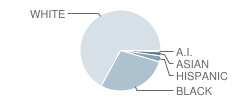 Belmont Elementary School Student Race Distribution