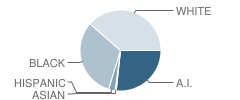 Long Branch Elementary School Student Race Distribution