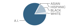 Purnell Swett High School Student Race Distribution