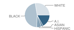 L Gilbert Carroll Middle School Student Race Distribution