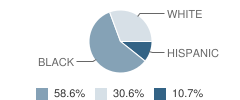 Reidsville Middle School Student Race Distribution