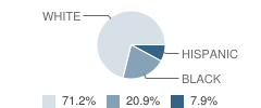 Cleveland Elementary School Student Race Distribution