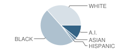 Covington Street Elementary School Student Race Distribution