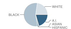 Shaw Elementary School Student Race Distribution