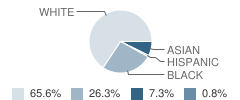 Badin Elementary School Student Race Distribution