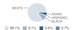 New London Choice Middle School Student Race Distribution