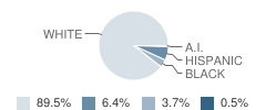 East Surry High School Student Race Distribution